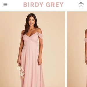 Birdy Grey Bridesmaids Dress- in color “Dusty Rose”, size XXL
